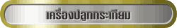 à¤Ã×èͧ»ÅÙ¡¡ÃÐà·ÕÂÁ